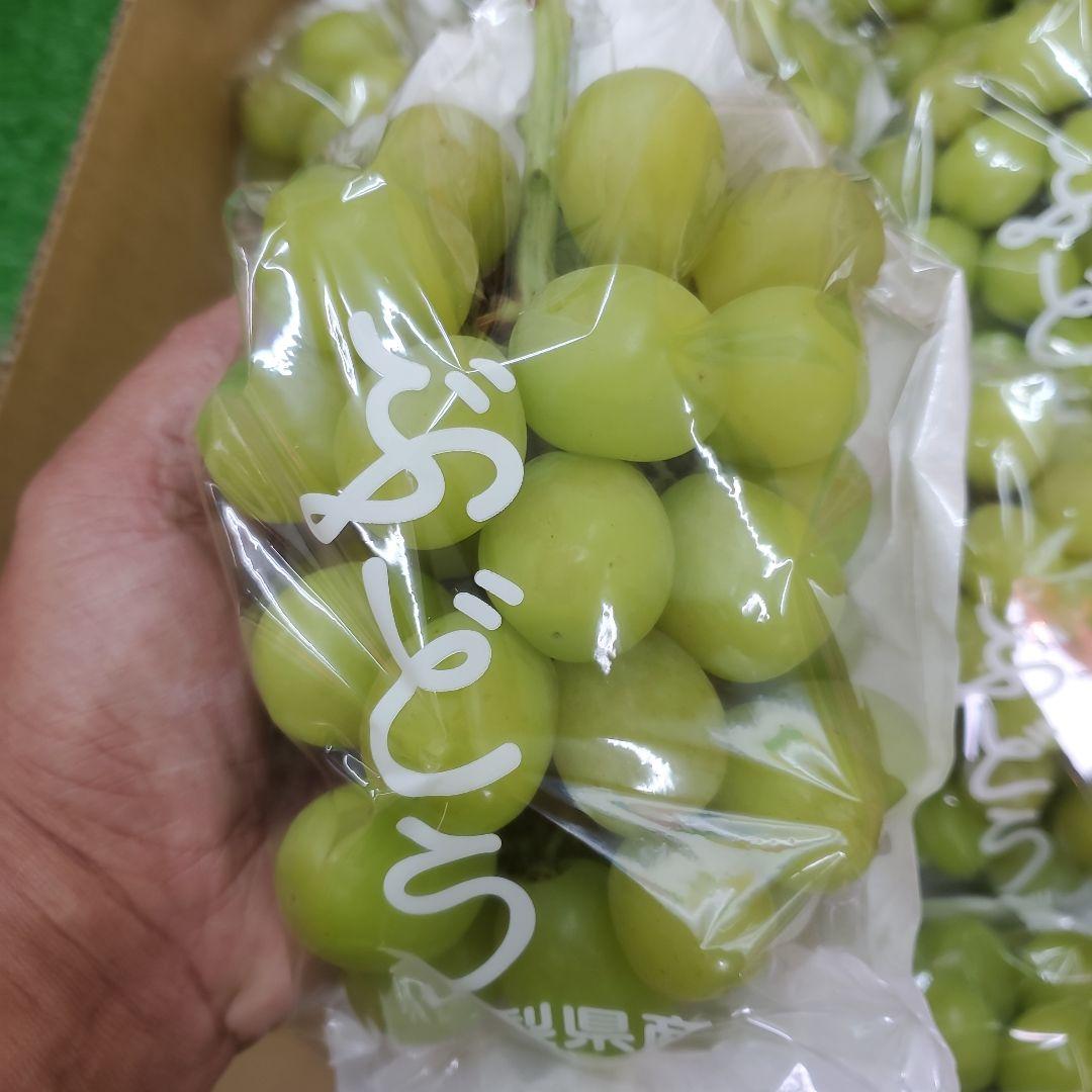 9️⃣ 山梨県産 シャインマスカット １０房入り 箱込み5.5キロ