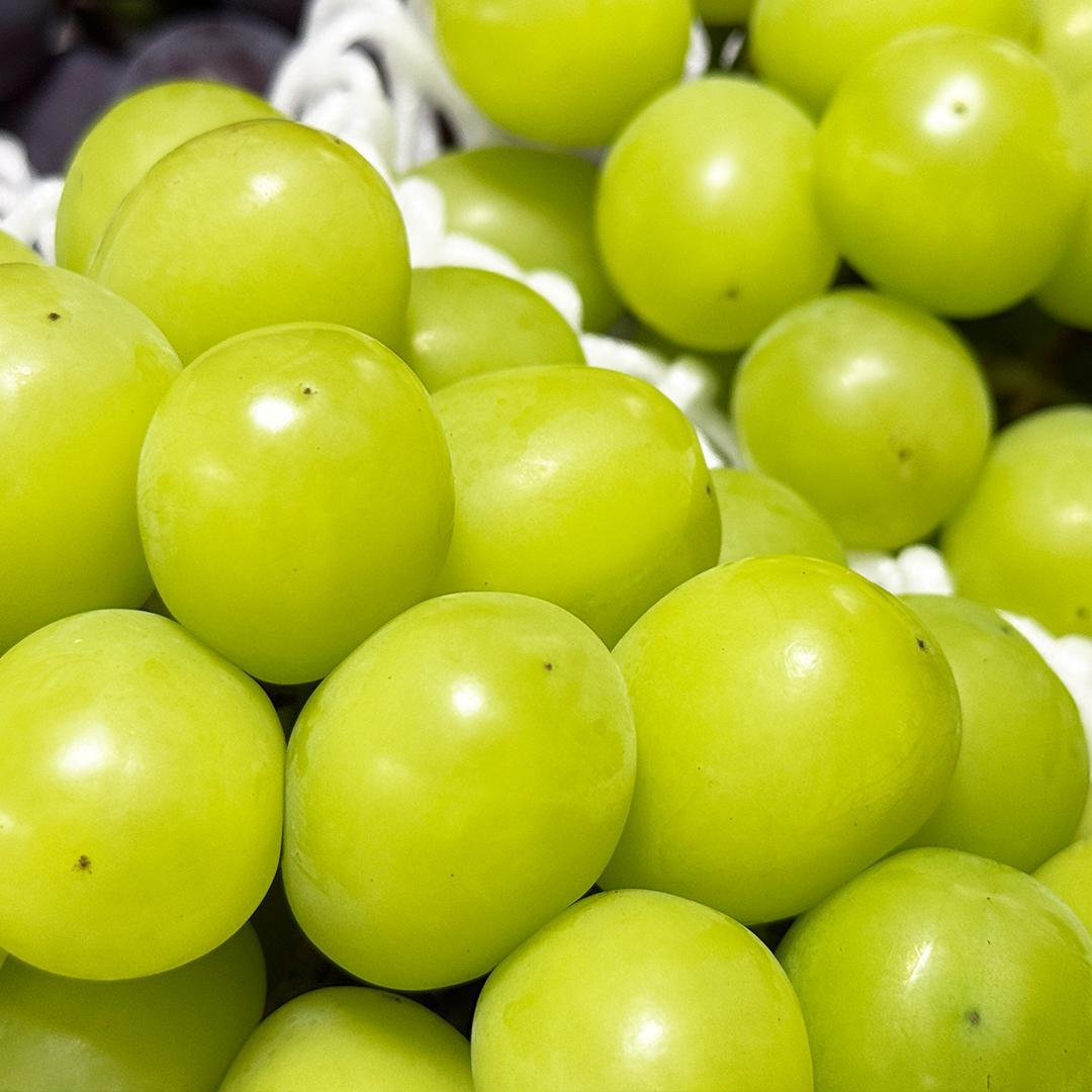 岡山県産 絶品朝採りシャインマスカット・瀬戸ジャイアンツ 2kg超