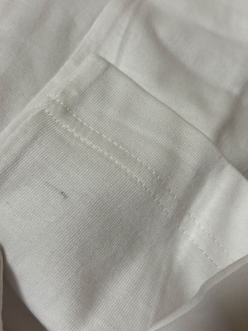 【希少】B'z TシャツLIVE-GYM pleasure95 稲葉浩志