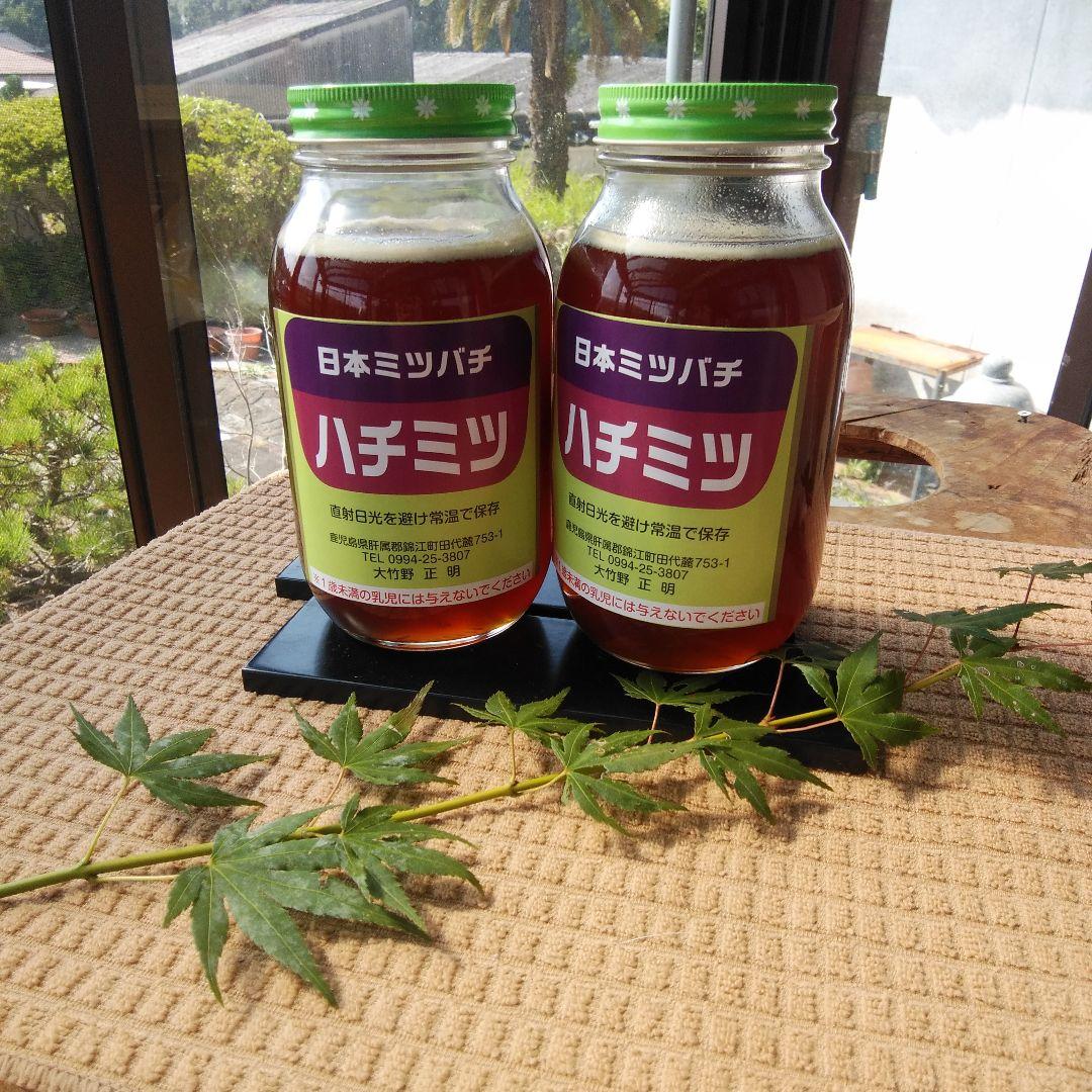 日本ミツバチ のはちみつです。