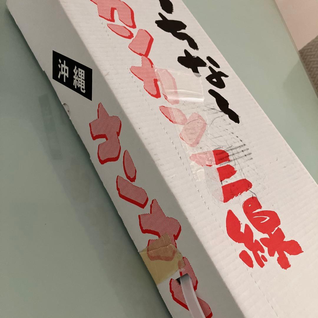 【未使用】カンカン三線　カンカラ三線　ヤンバルクイナとハイビスカス柄　沖縄