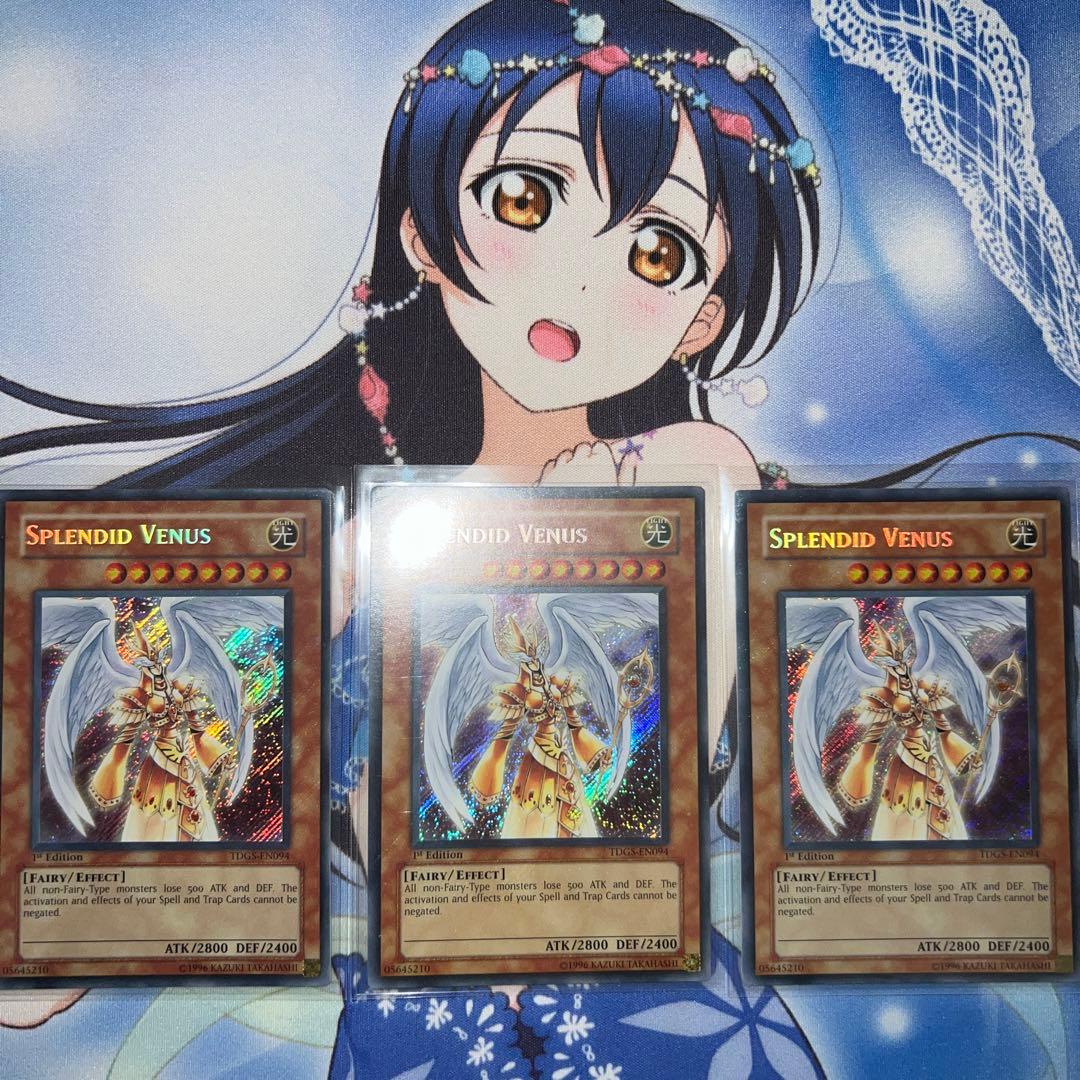 splendid vinus 英語 シークレット 3枚