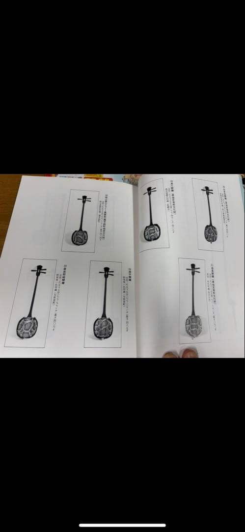 沖縄三線　昔三線　八重山黒木　486グラム