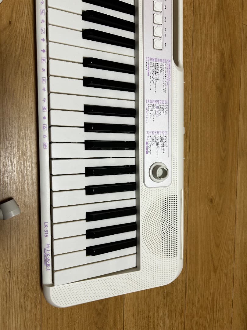 Casiotone LK-315（価格変更）