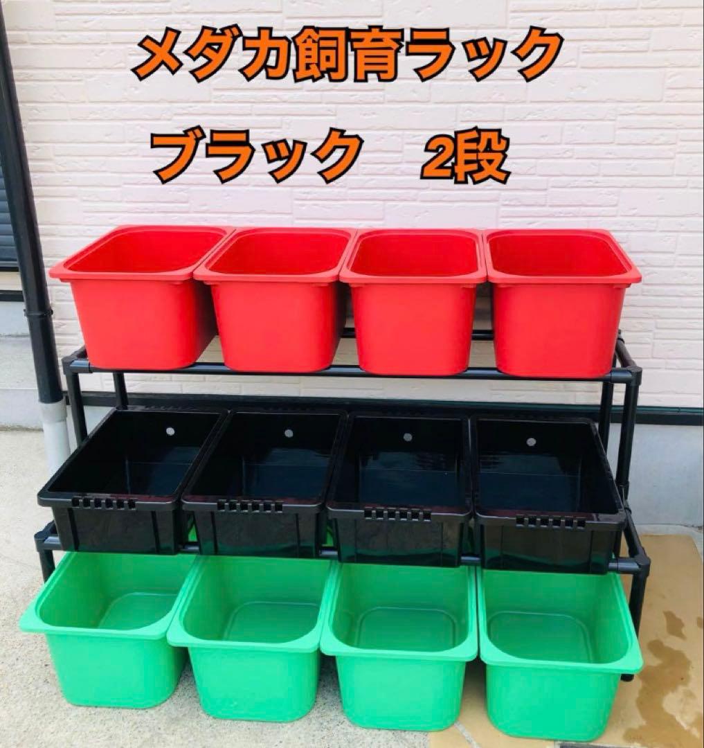 メダカ飼育ラック　ブラック　2段