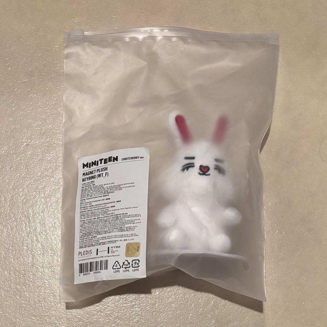 miniteen チェチェリー マグネットプラッシュキーリング エスクプス