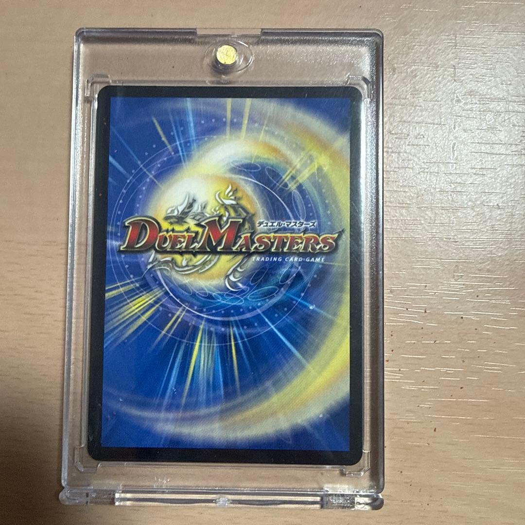 水上第九院シャコガイル　a