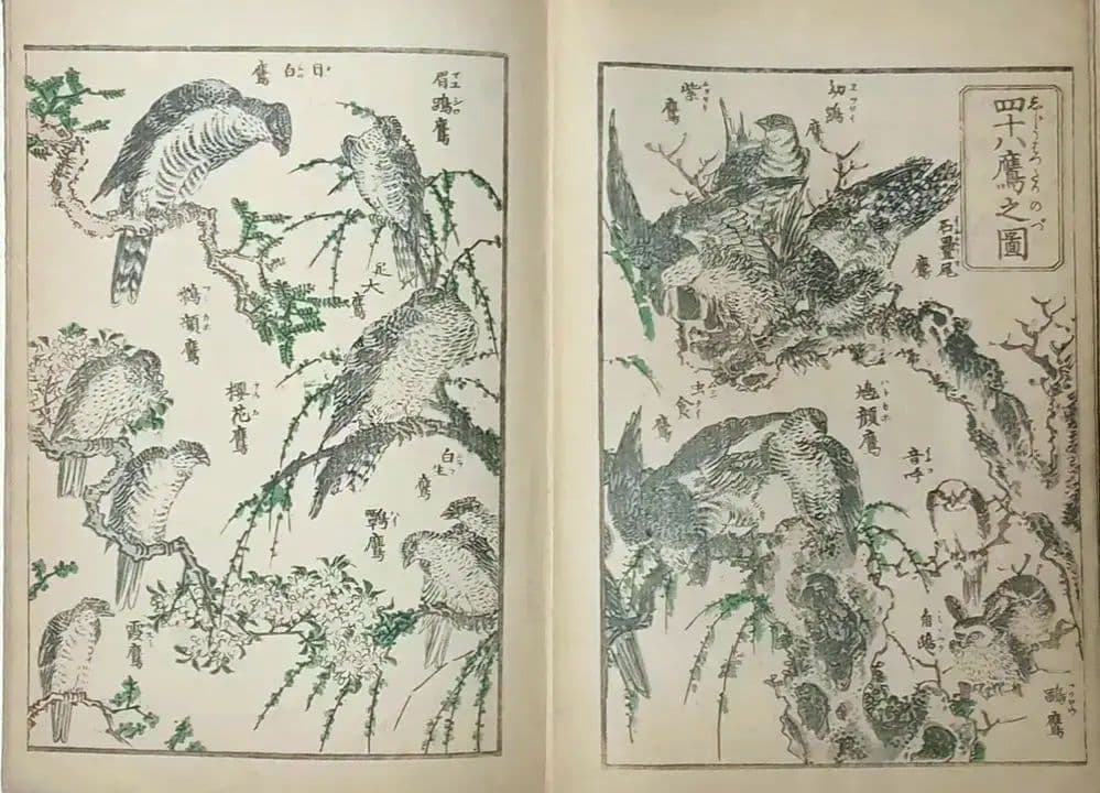 北斎画宛二編（色摺版画本)葛飾北斎画明治初期、後摺再板になります（初版は天保3年