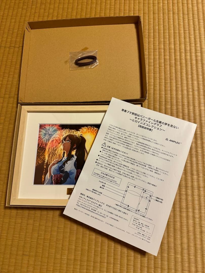 青ブタ　双葉理央　キャラファイングラフ