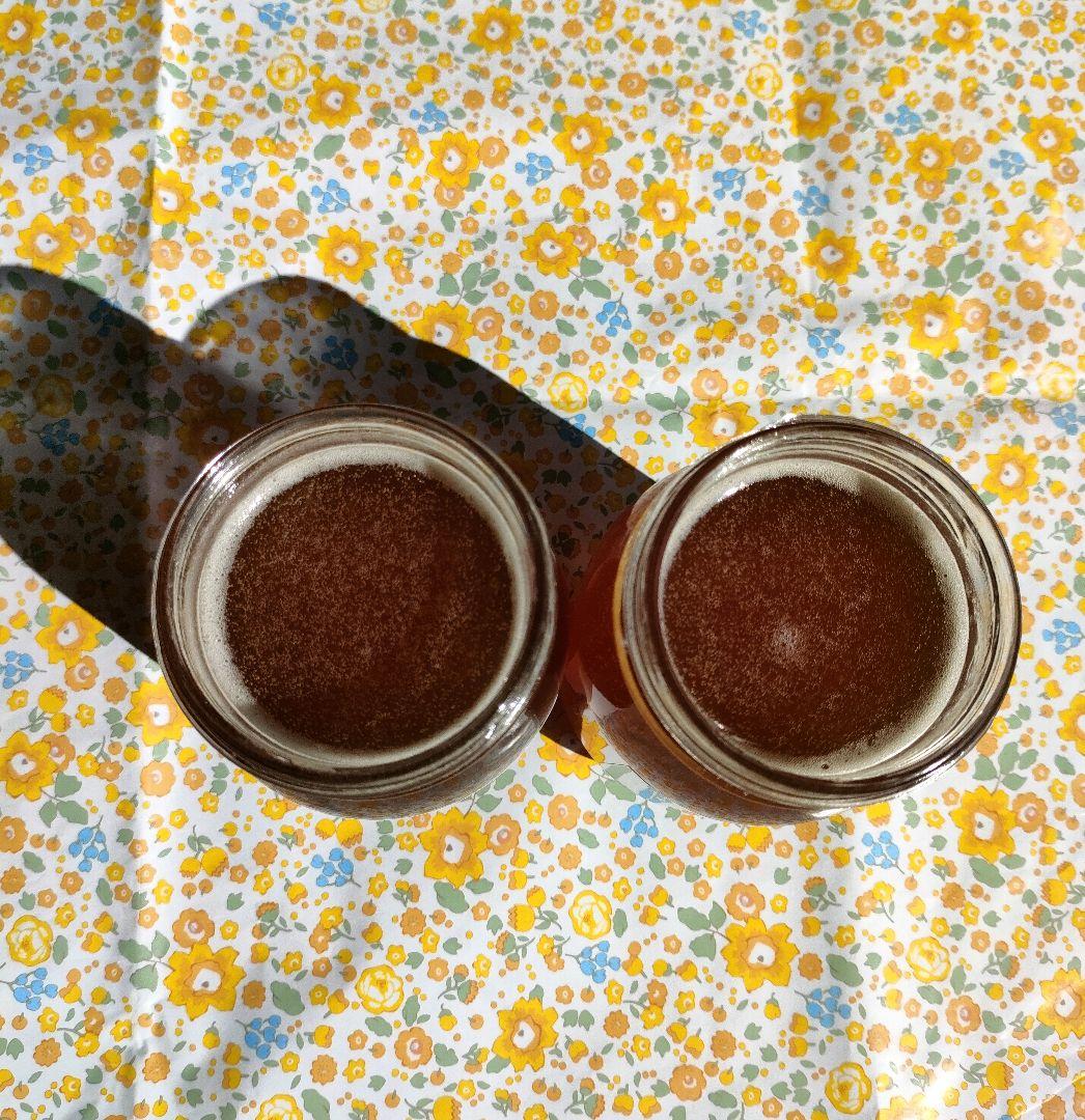 実容量600g×2瓶　日本ミツバチの蜂蜜