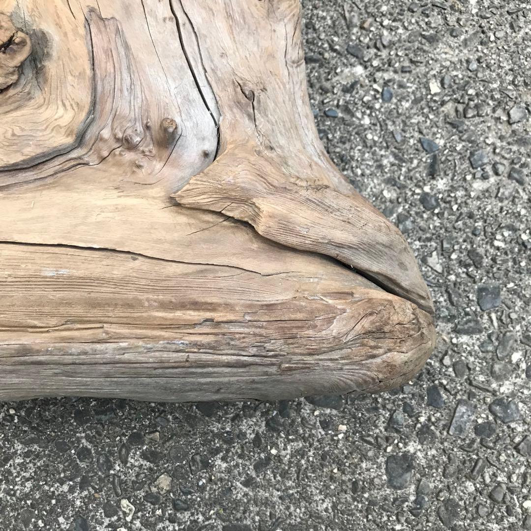 30年前に拾って乾燥させてあった流木