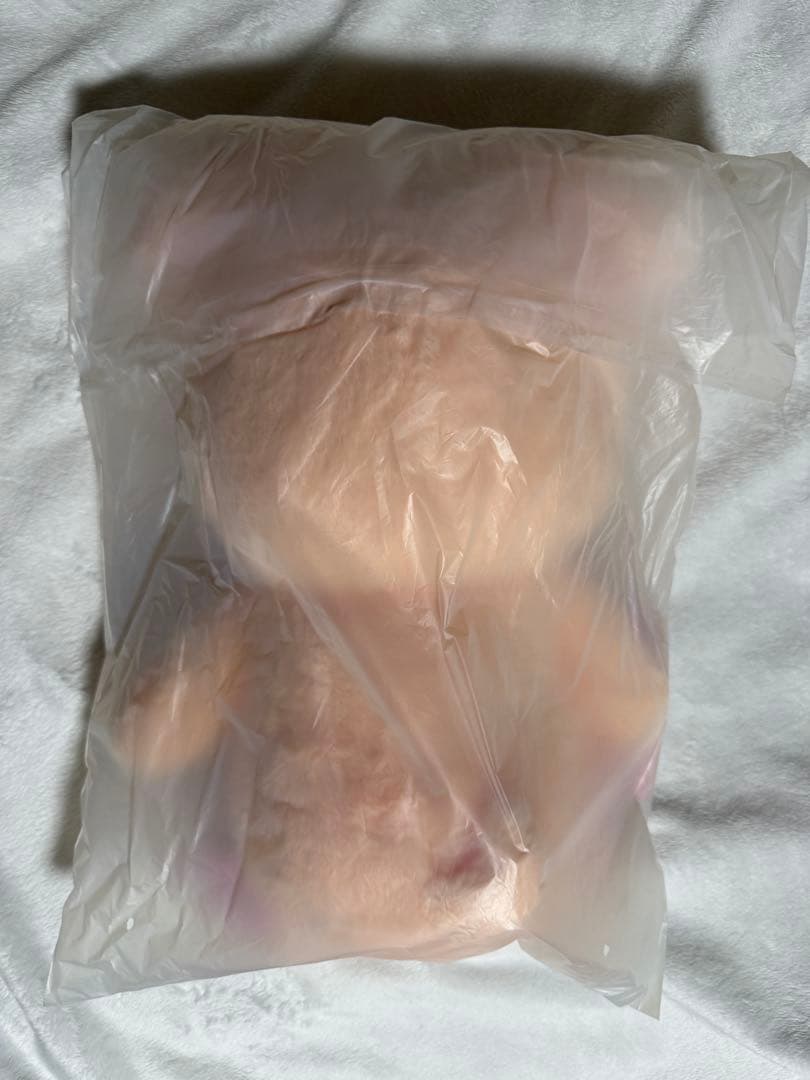 7/11迄に購入→7/13発送　スキズ SKZOOテディベア パピーム