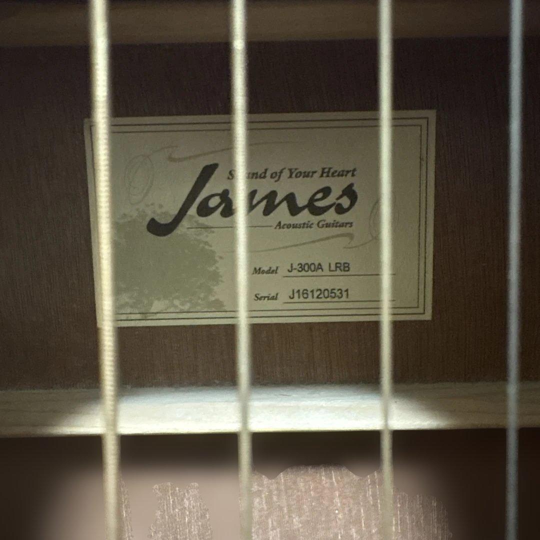 James J-300A アコースティックギター レッドグラデーション
