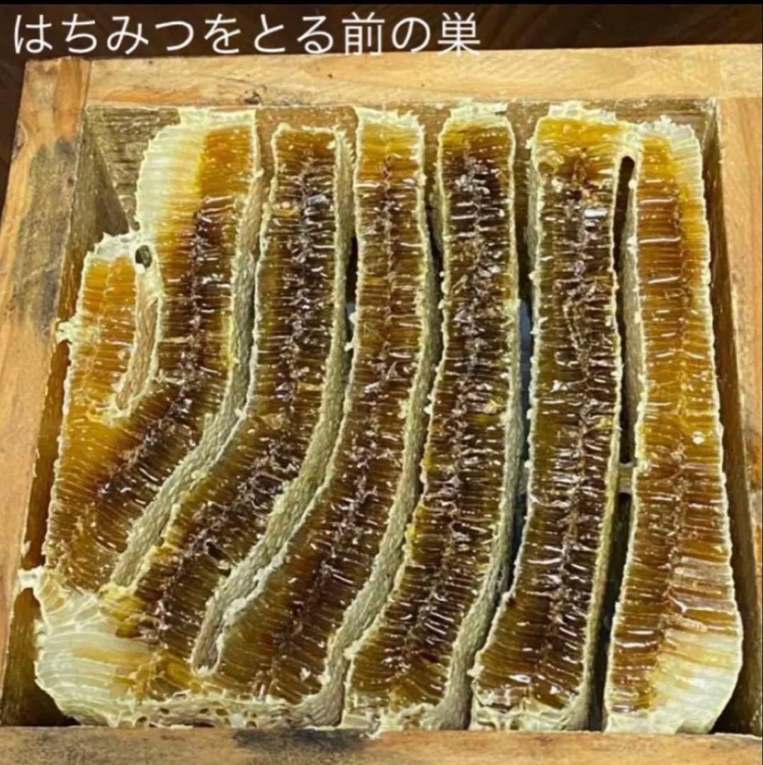 りなんてぃー 日本ミツバチ とろとろはちみつ+コムハニー 無添加抗生物質無