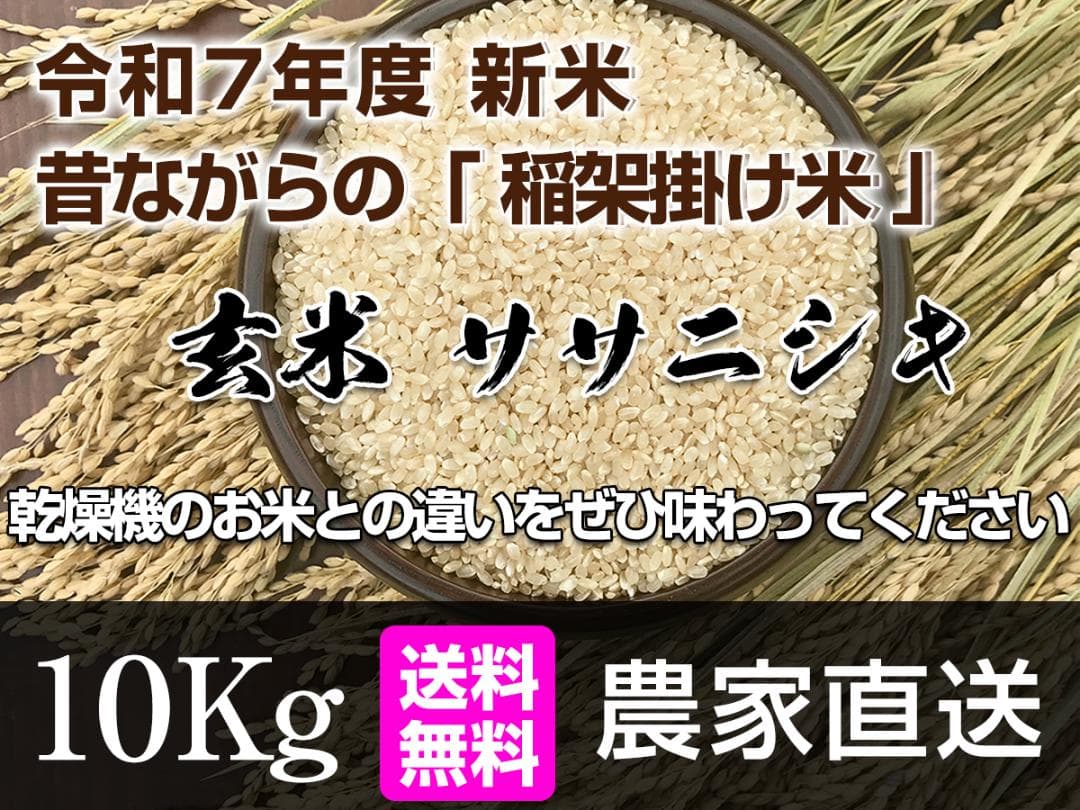 【新米】令和7年 昔ながらの「稲架掛け米」天日干し ササニシキ 玄米 10Kg