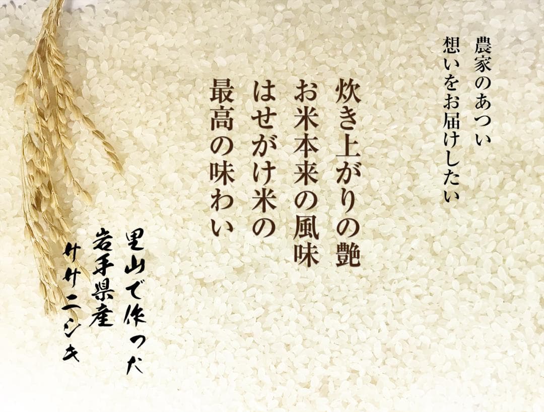 【新米】令和7年 昔ながらの「稲架掛け米」天日干し ササニシキ 玄米 10Kg