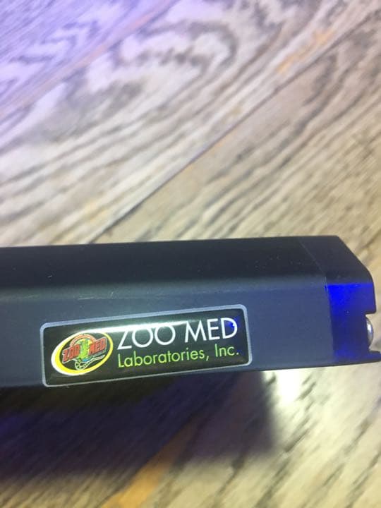 レプティサンT5 HO  14インチ LFー70JZOOMED（ズーメッド）