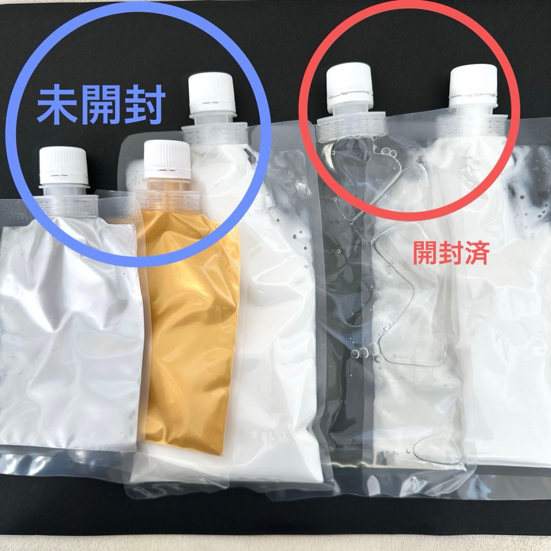 ボタニーペインティング　通信講座　全4回分セット　菩提樹　蓮の葉　ボタニカル