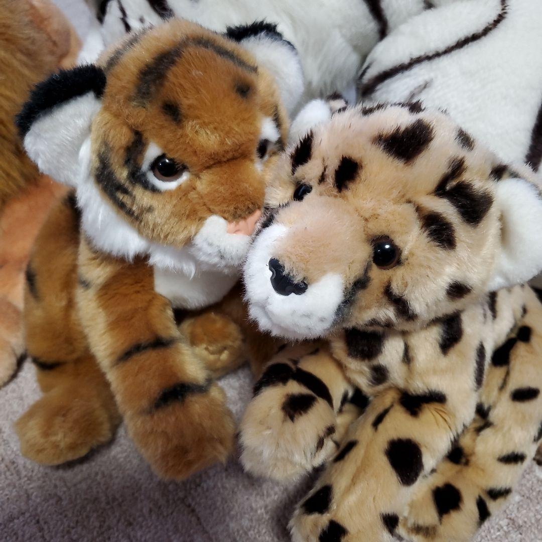 ライオン・トラ・ヒョウ ぬいぐるみセット