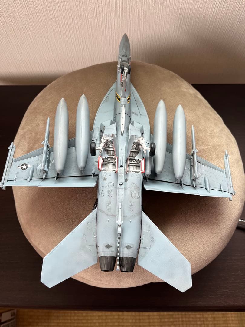 Hasegawa 1/48 F/A-18F SUPER HORNET 完成品
