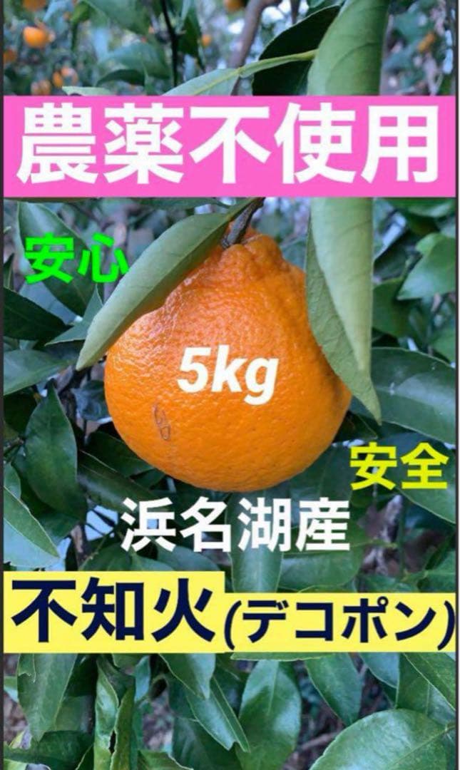 M66.専用品　農薬不使用 浜名湖みかん5種類ミックス30kg 安心　安全