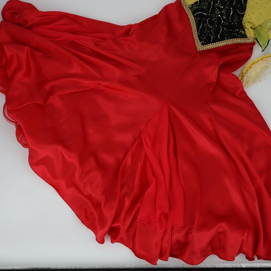 【美品 日本製 社交ダンス衣装】 in the MOOD インザムード ドレス