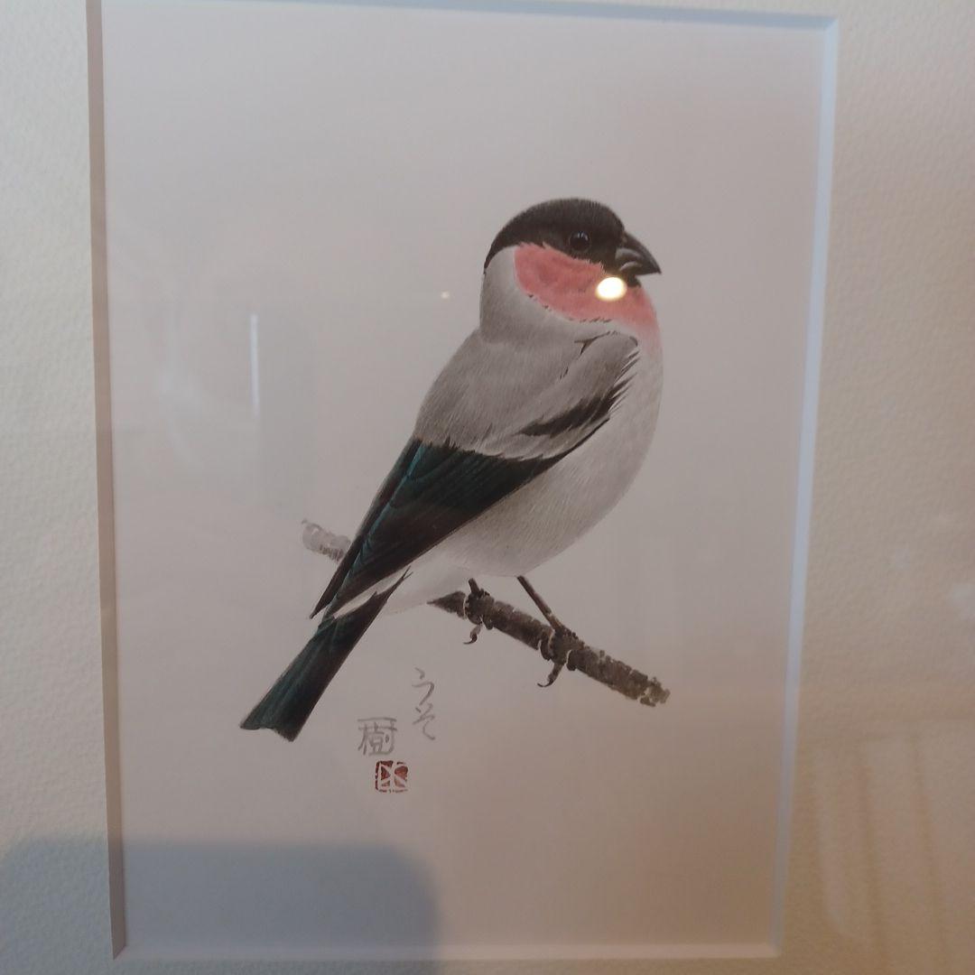 野鳥画家「木部一樹」アクリル画　うそ