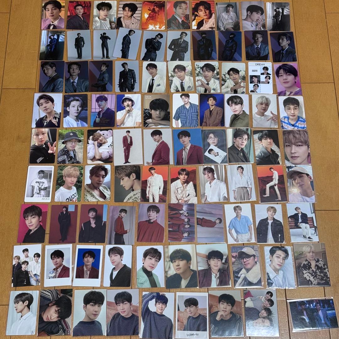 SEVENTEEN ウォヌ ディノ まとめ売り