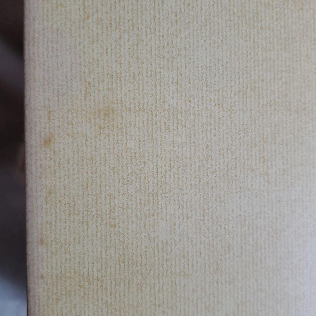 コメントお願いします。シュタイフ JAPAN TEDDY BEAR MASAKO