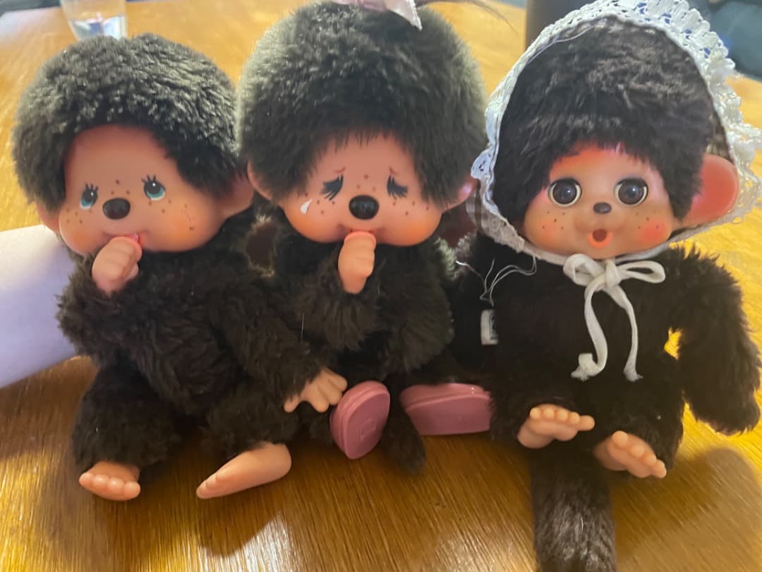 モンチッチJapan