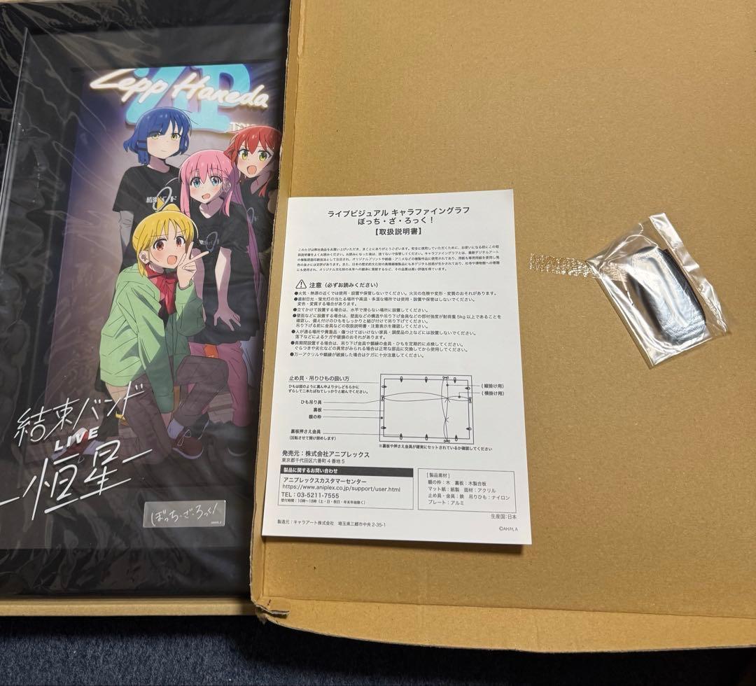 ぼっち・ざ・ろっく! 結束バンドLIVE -恒星-キャラファイングラフ (A4)