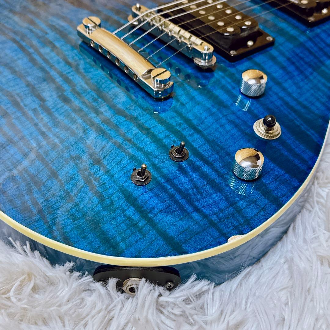 フレイムトップ！FERNANDES APG サスティナー搭載 ブルー 青