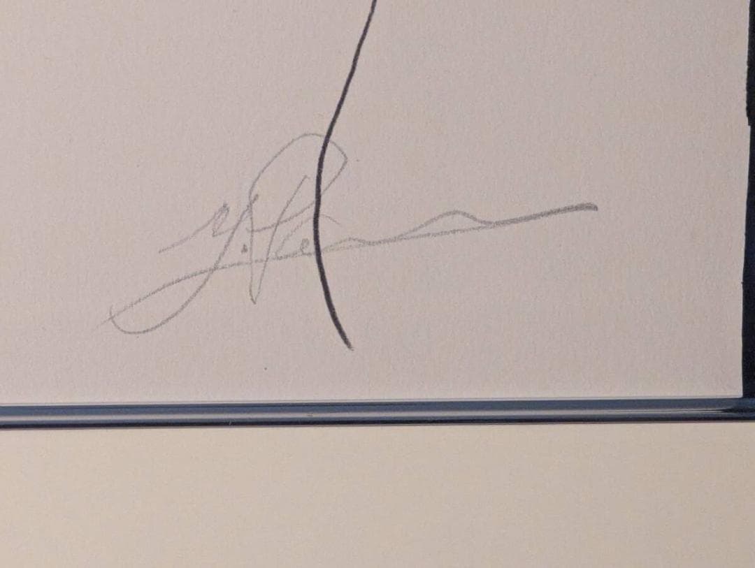 【真作】版画　リトグラフ　流麗な裸婦デッサン　モダンアート　箱・黄袋入　Z19