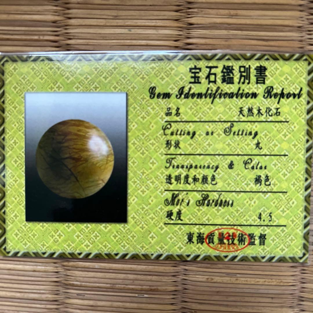 天然化石木 珪化木(けいかぼく) ペトリファイドウッド マダガスカル産 鑑別書