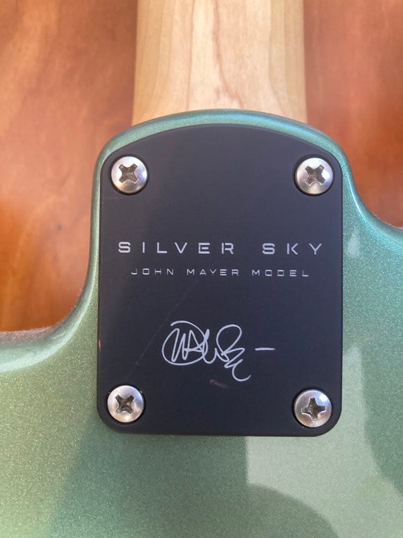 PRS（Paul Reed Smith） Silver Sky