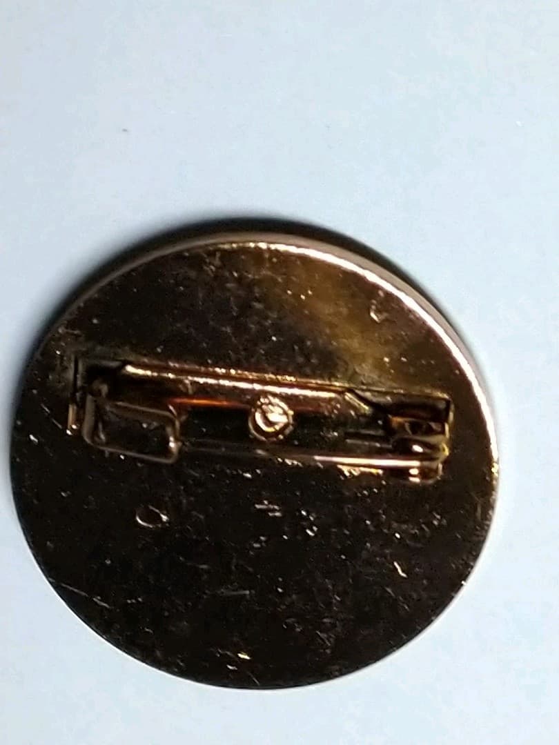 ポケモンリーグ　レインボーバッジ　※バッジのみ