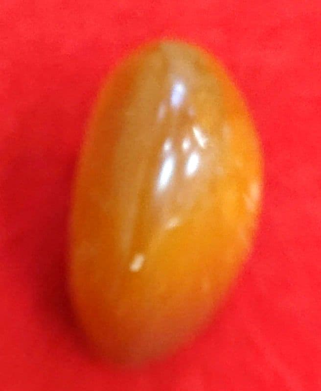 印材　田黄　天然石 ケース付き