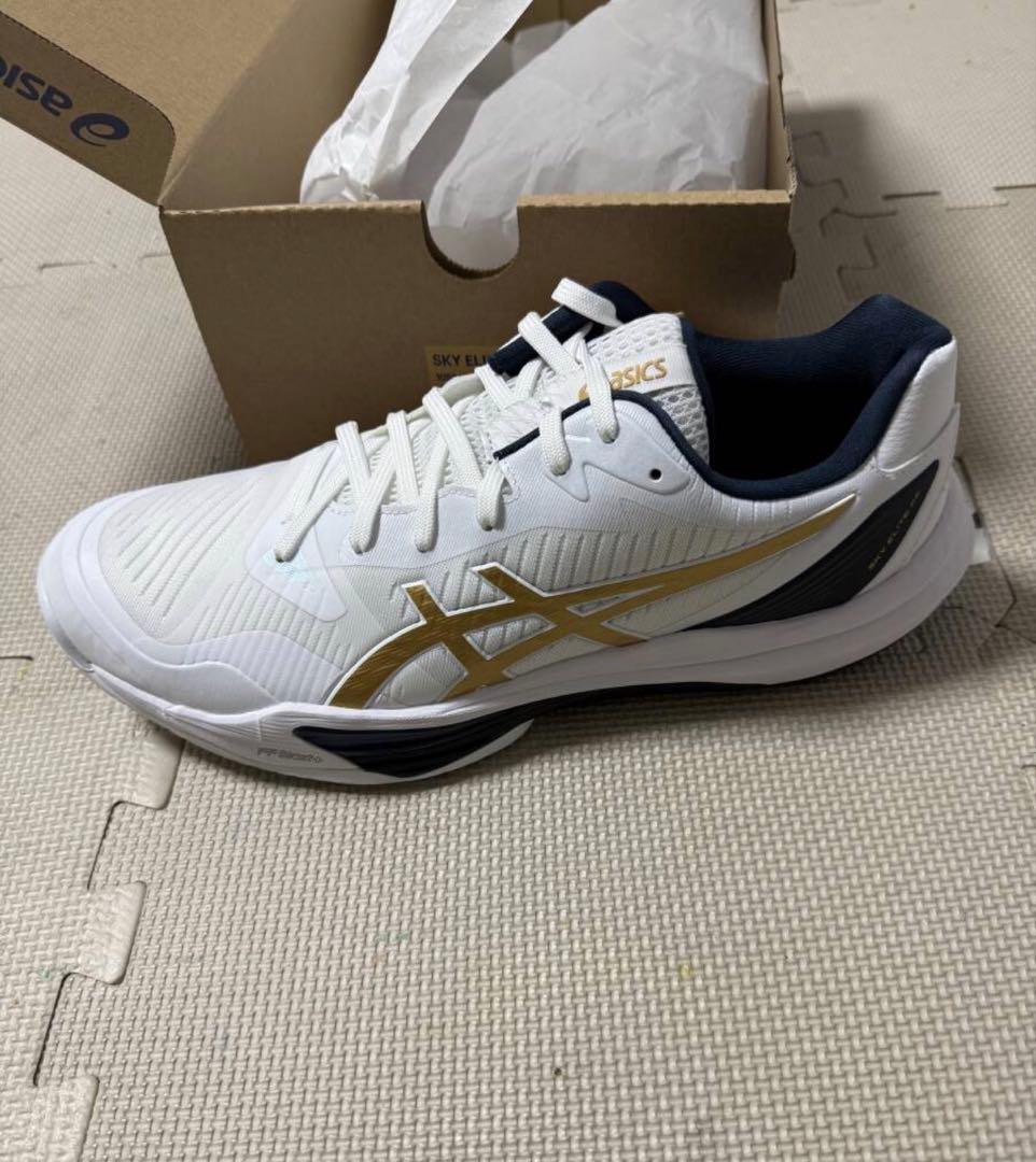 【限定カラー】ASICS/アシックス　 スカイエリート FF 3 28.5cm