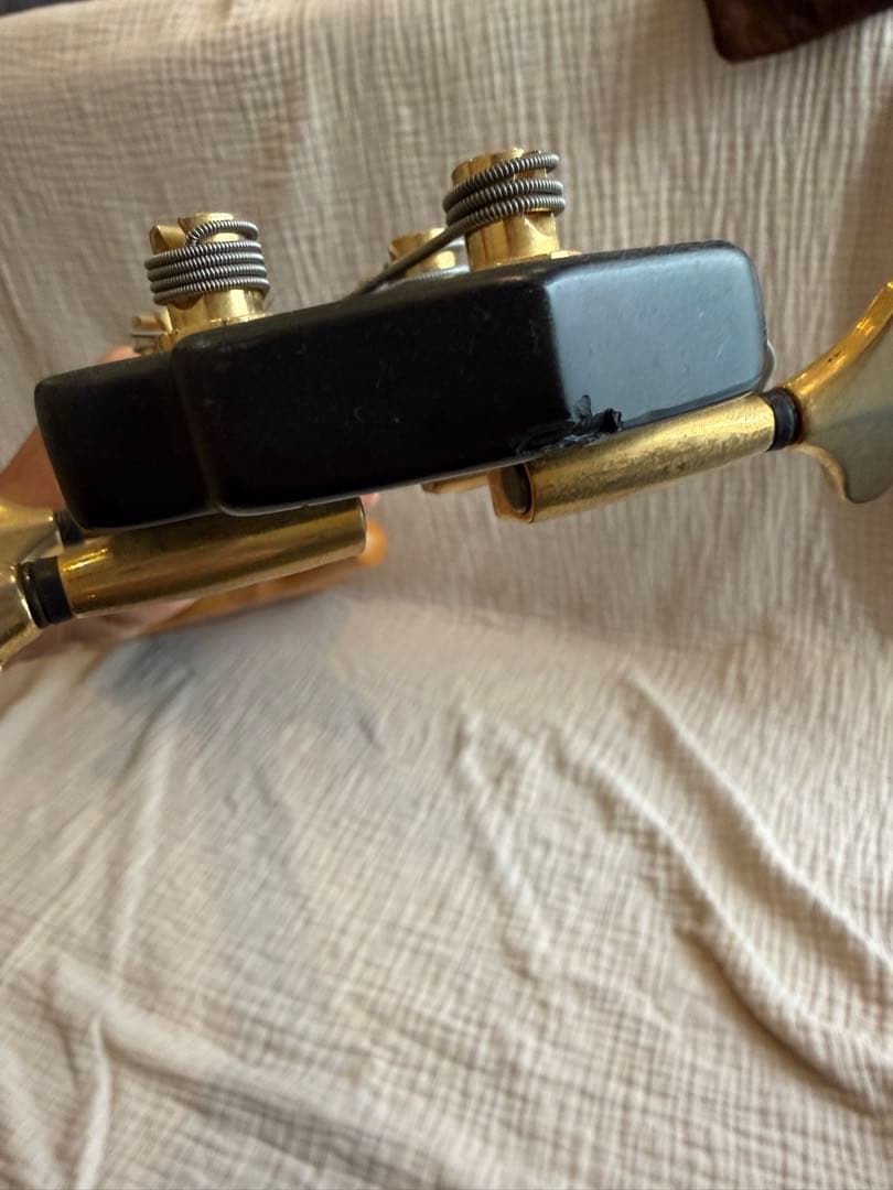 ZON SONUS custom5 トラスロッド有り