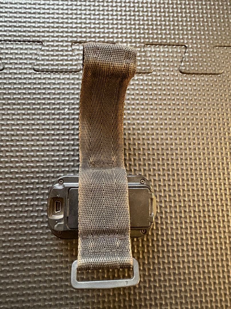 個人装備 GARMIN Foretrex 401 GPS