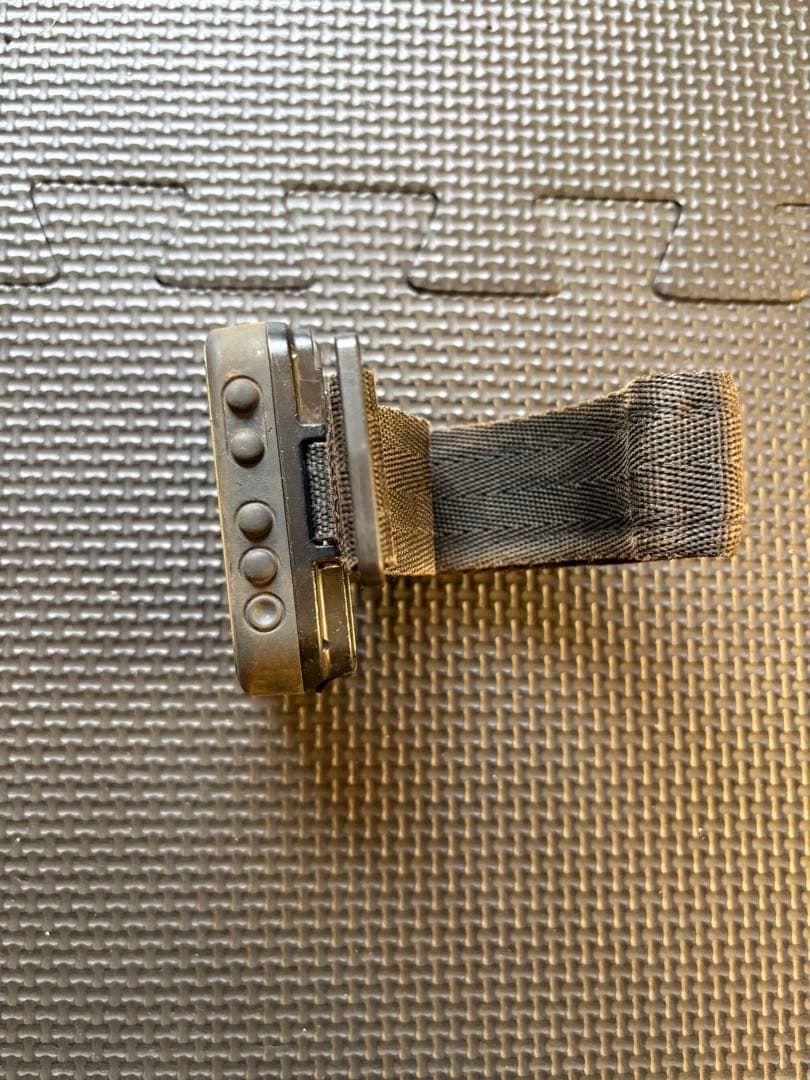 個人装備 GARMIN Foretrex 401 GPS