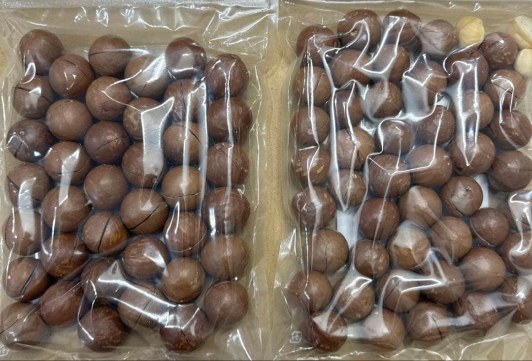 殻付き マカダミアナッツ 300g❌2袋　オープナー付き 素焼き