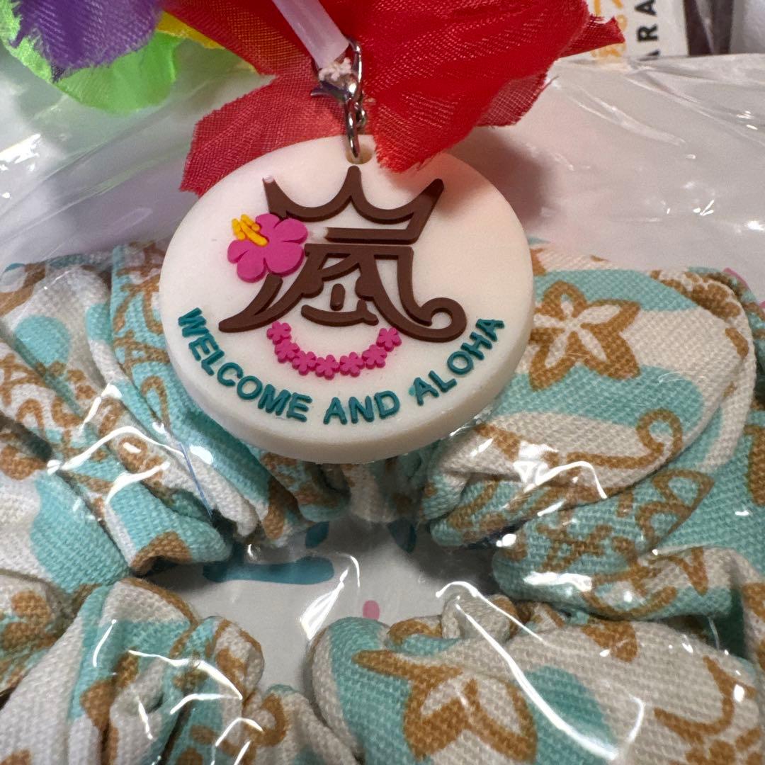 嵐 グッズ まとめ売り ハワイ 嵐フェス