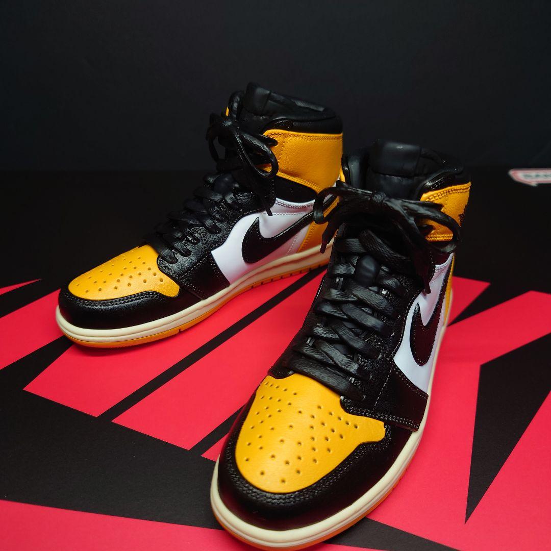 NIKE AIR JORDAN 1 MODEL KIT　塗装済み完成品　箱付き