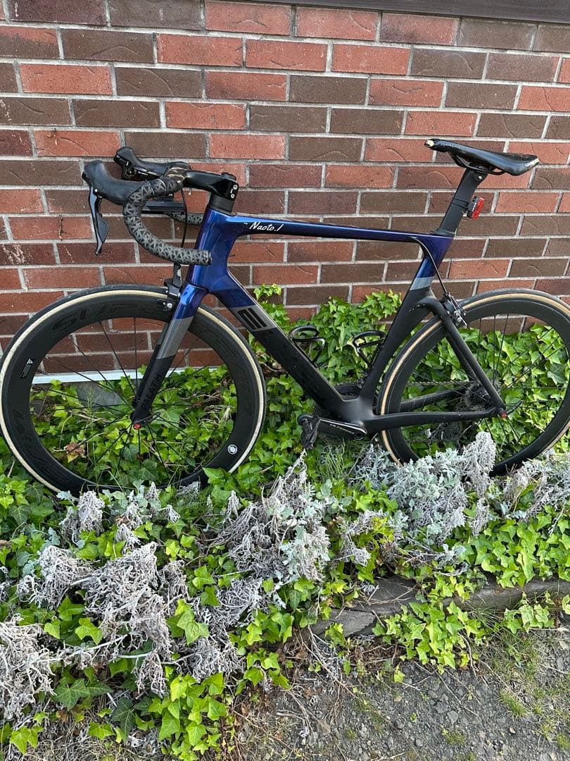 ELEVS FALATH PRO ファラスプロ　完成車