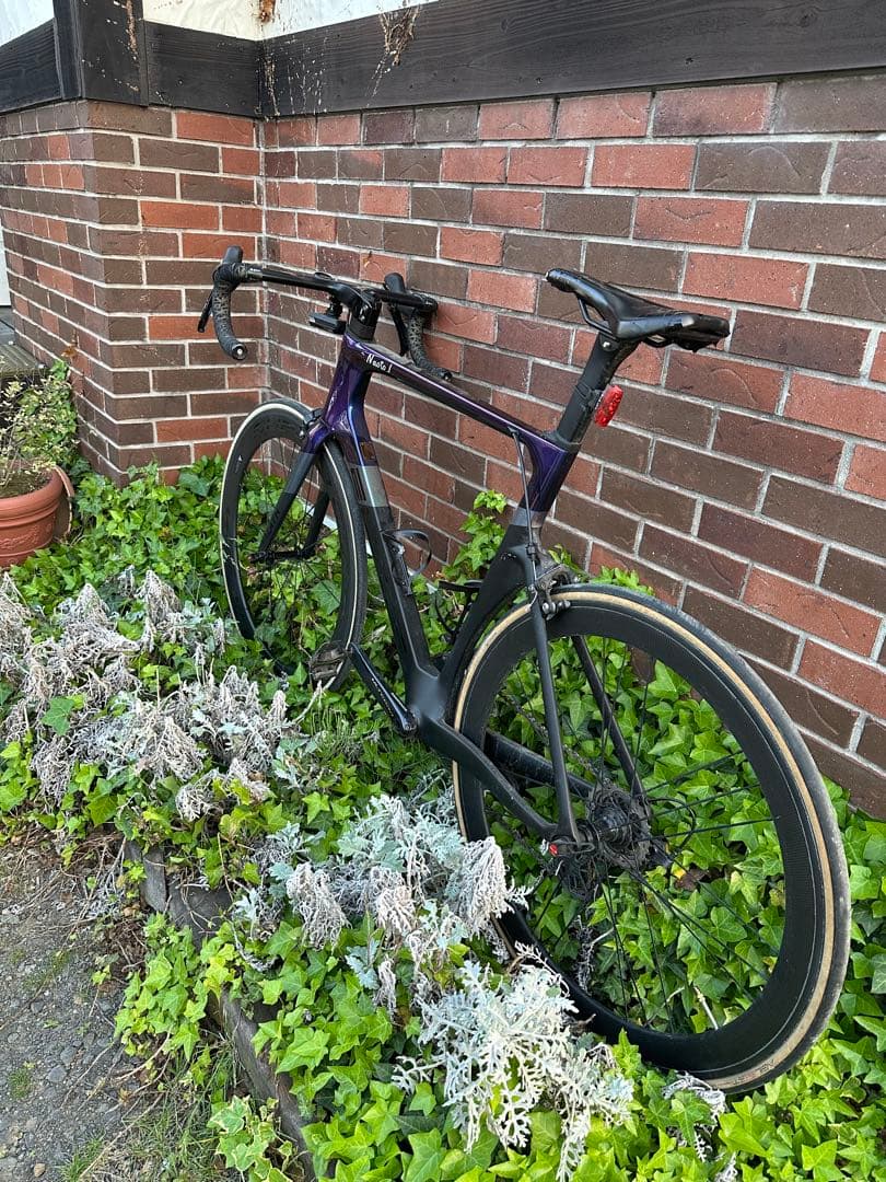 ELEVS FALATH PRO ファラスプロ　完成車