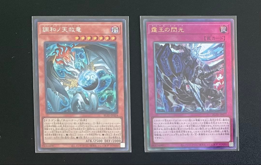 調和ノ天救竜シークレット、霆王の閃光レリーフ