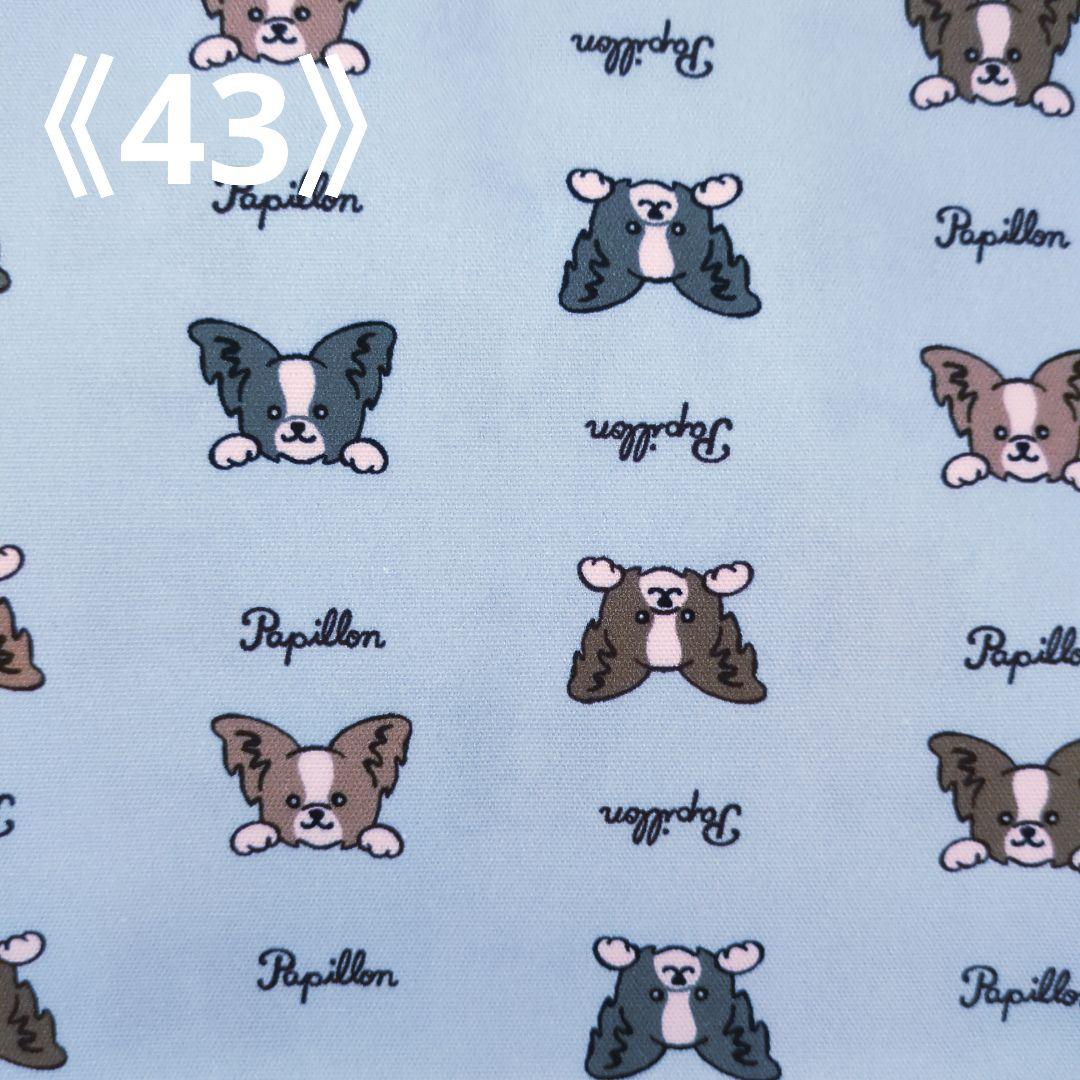 ペット✩犬✩マナーベルトオーダー用 サンプル（確認用）パピヨン 水色