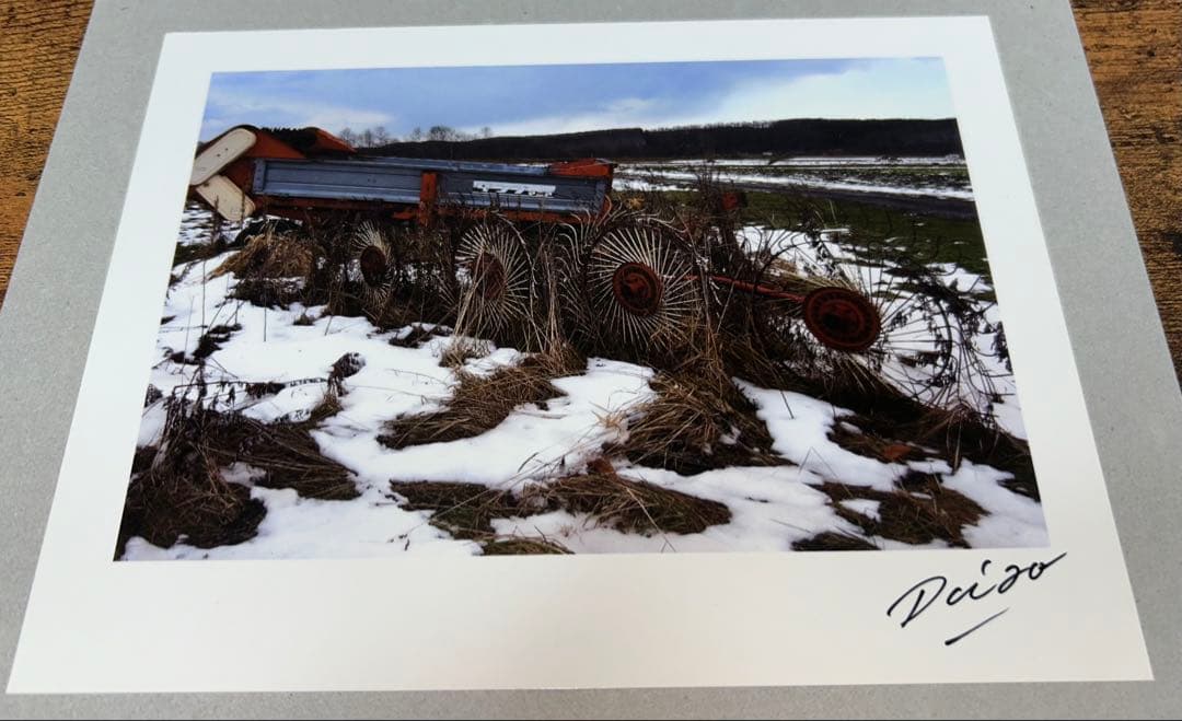 森山大道　オリジナルプリント　東日本大震災支援プロジェクト　カラー