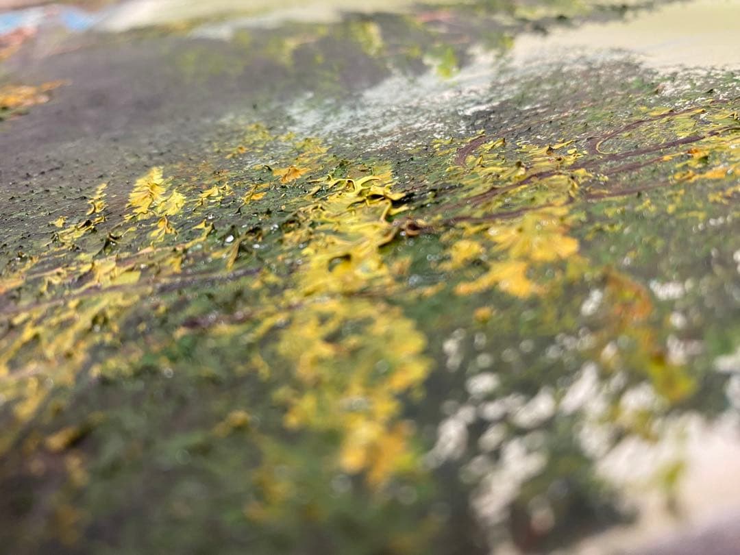 3-3302 風景画 油絵 絵画 油彩画 肉筆 美術 アンティーク　額縁無　油彩